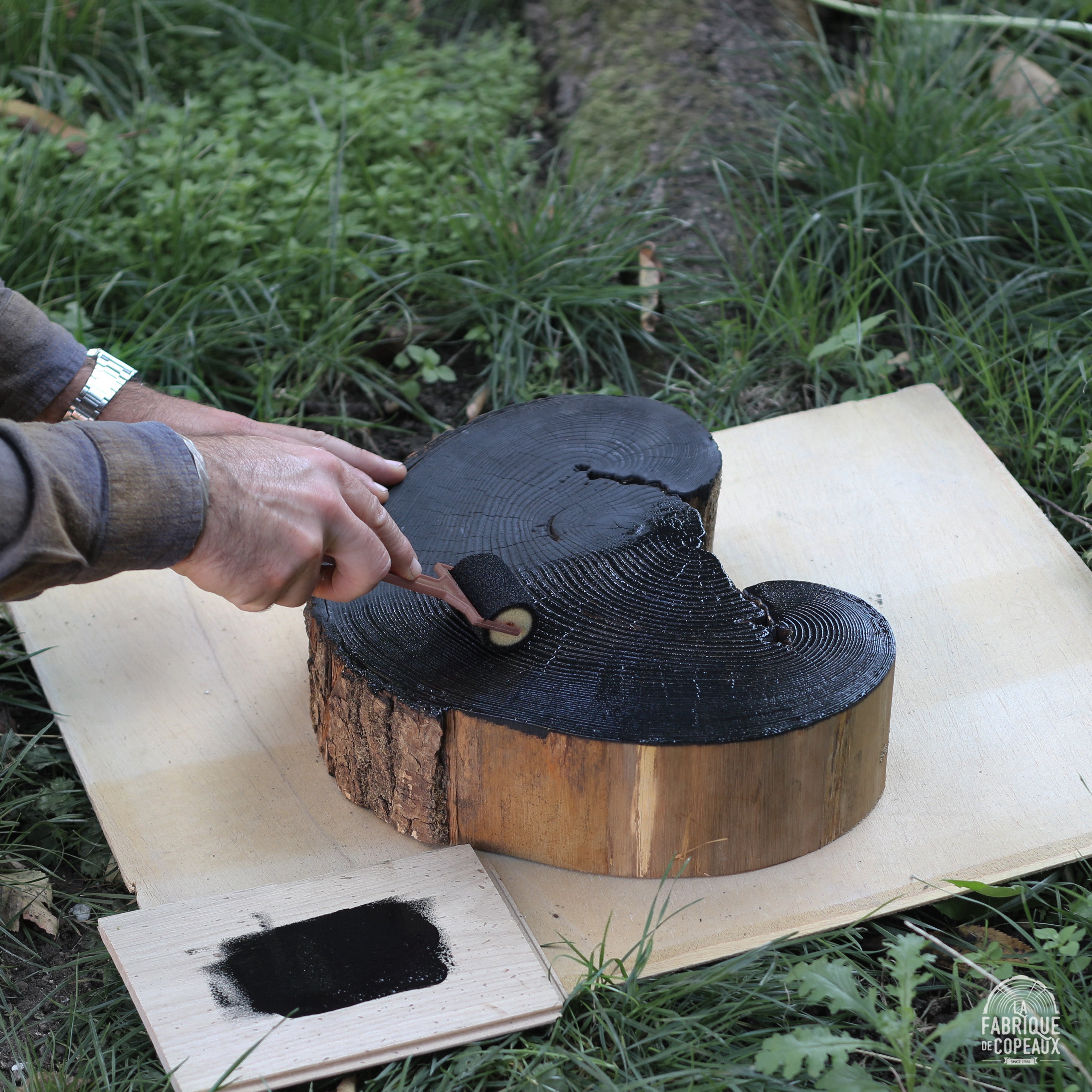 Tranche de vie, Chêne "coeur"