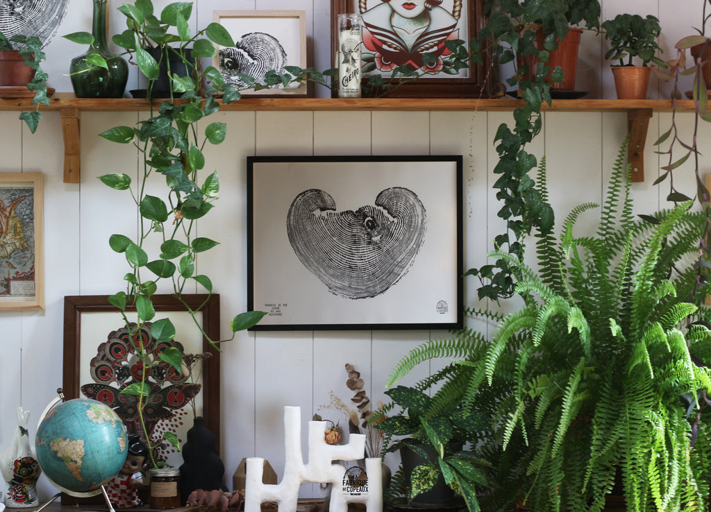 Tranche de vie, Chêne "coeur"