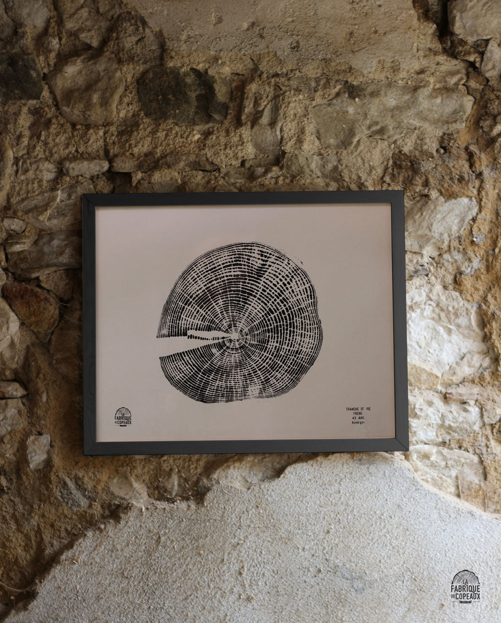 Tranche de vie, Frêne