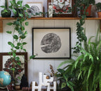 Tranche de vie, Frêne