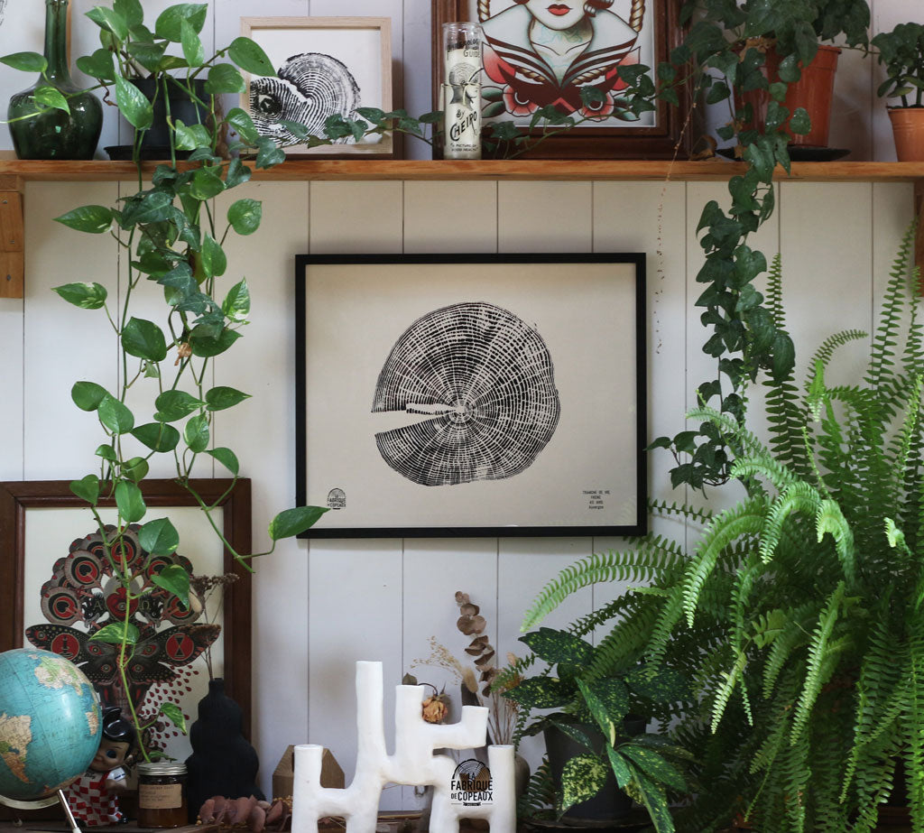 Tranche de vie, Frêne