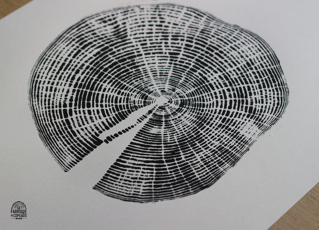 Tranche de vie, Frêne