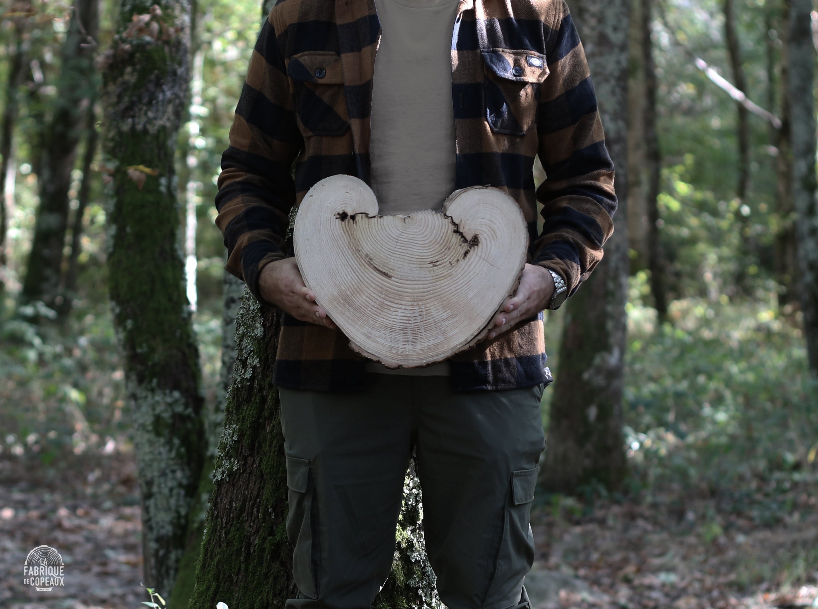 Tranche de vie, Chêne "coeur"